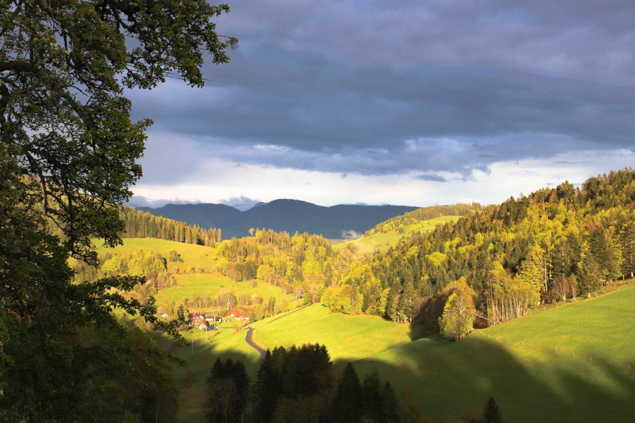 Berggasthof Haldenhof Hotel Vorderheubronn Bagian luar foto